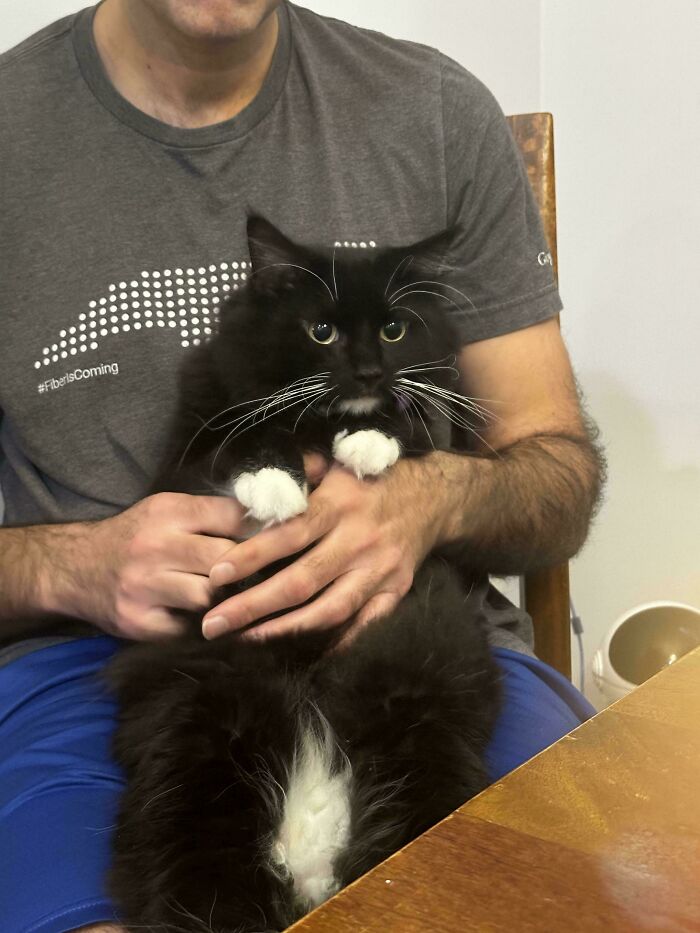 Man holding a fluffy black and white cat showing how dads who said no pets became total softies.