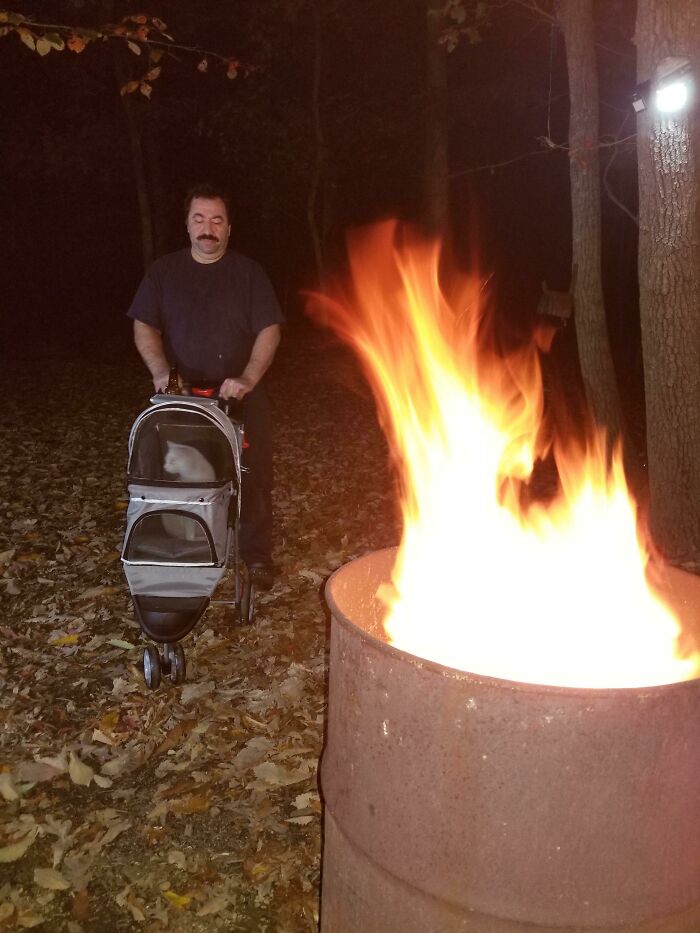 Man pushing pet stroller with cat near outdoor fire barrel at night in a wooded area, showing dads who became total softies.