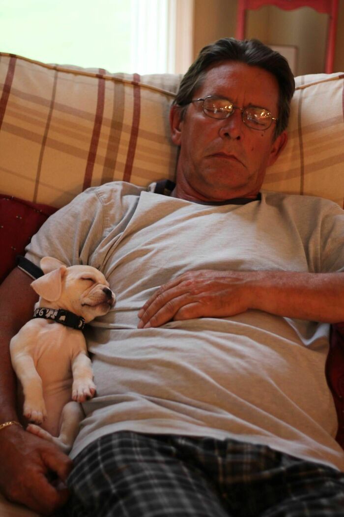 Man napping on couch with small sleeping puppy, showing dads who said no pets becoming total softies.