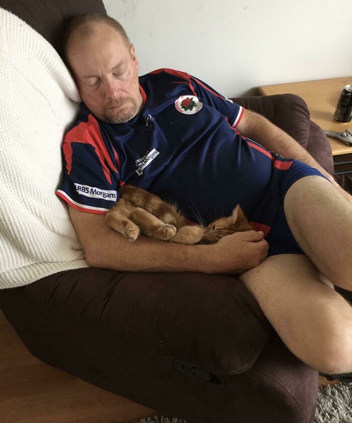 A dad who said no pets sleeping on a couch while holding a relaxed cat, showing his soft side with pets.