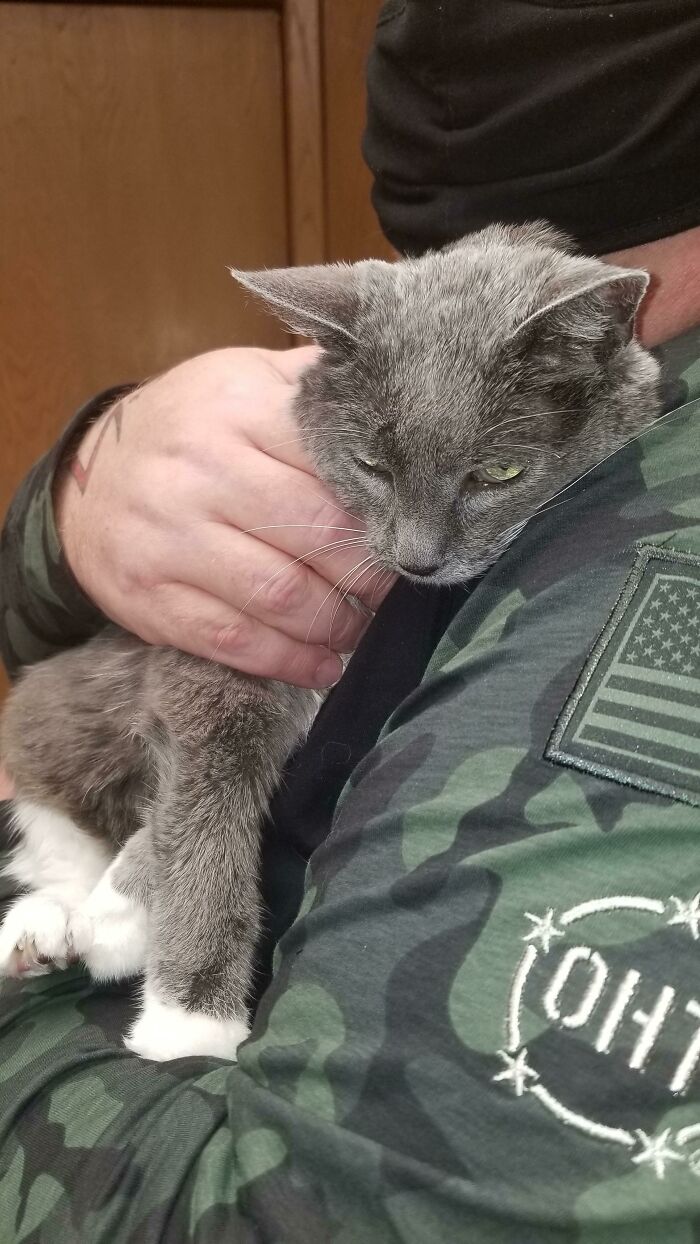 Man wearing camouflage jacket gently holding gray and white cat, showing dads who said no pets becoming total softies.