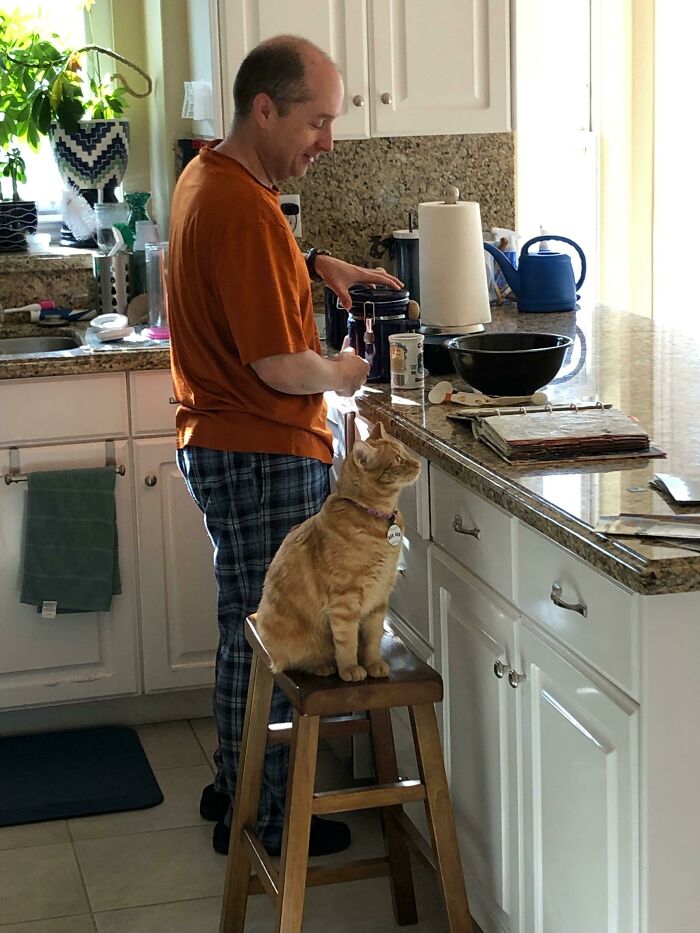 Man making coffee in kitchen with orange tabby cat sitting on stool, showing dads who said no pets becoming softies.