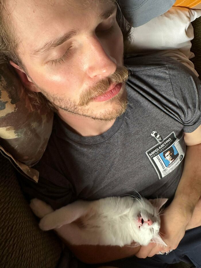 Man napping on a couch holding a white cat, showing dads who said no pets and ended up becoming softies.