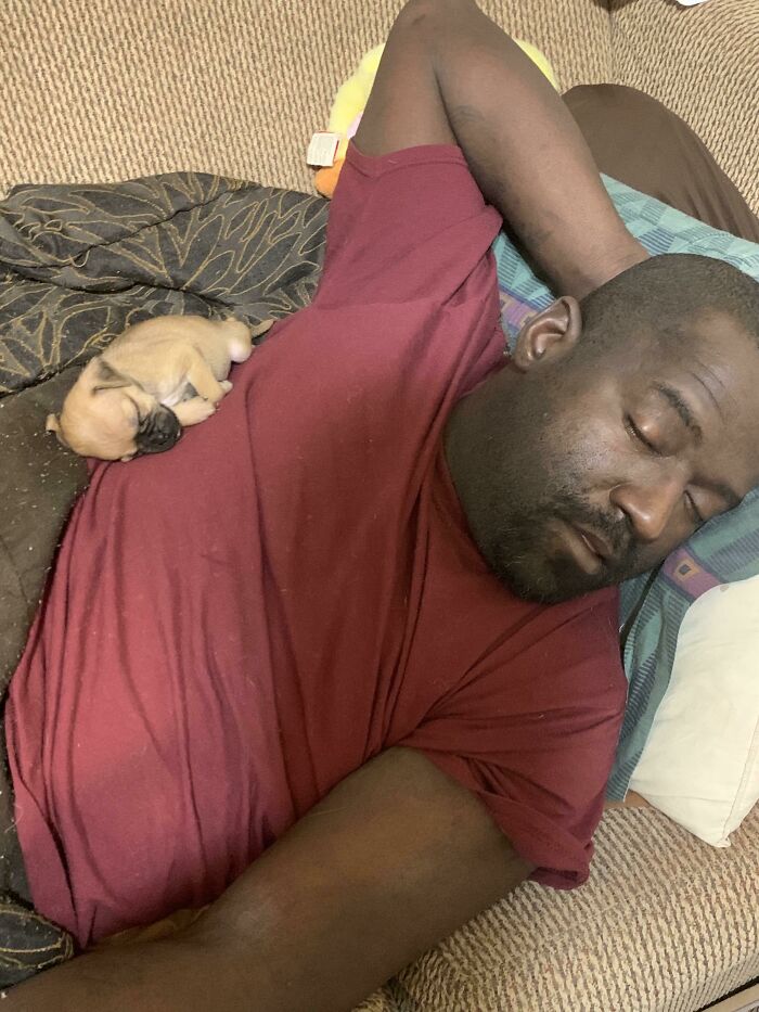 Man sleeping on couch with small puppy curled up on his chest, showing dads who said no pets becoming softies.