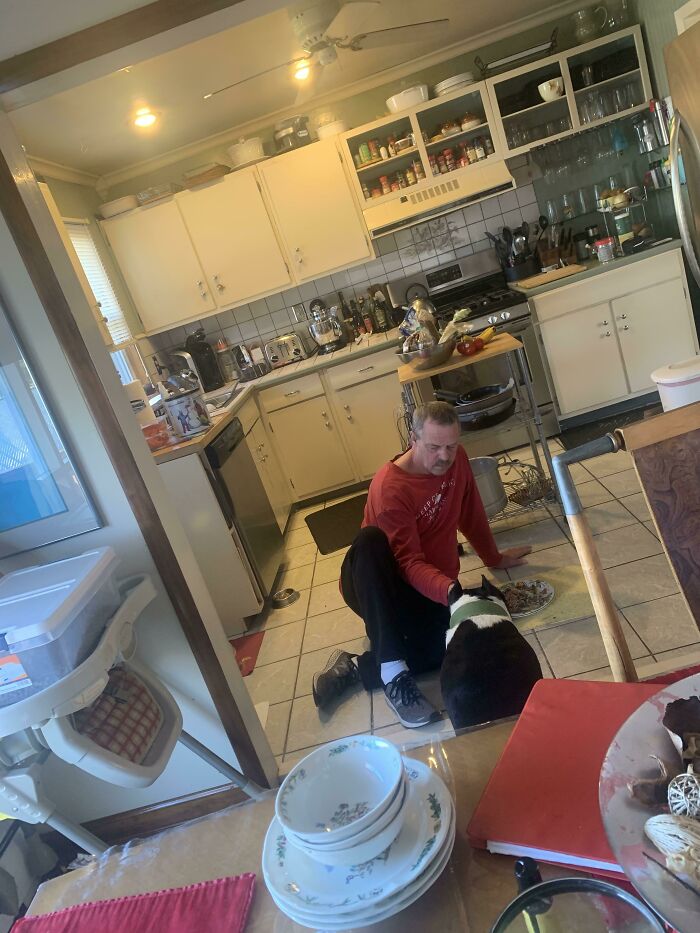 Man sitting on kitchen floor feeding dog, showing dads who said no pets and became total softies moment.