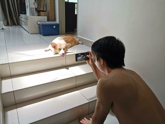 Man taking photo of a dog on stairs, showing dads who said no pets and became total softies with their pets.