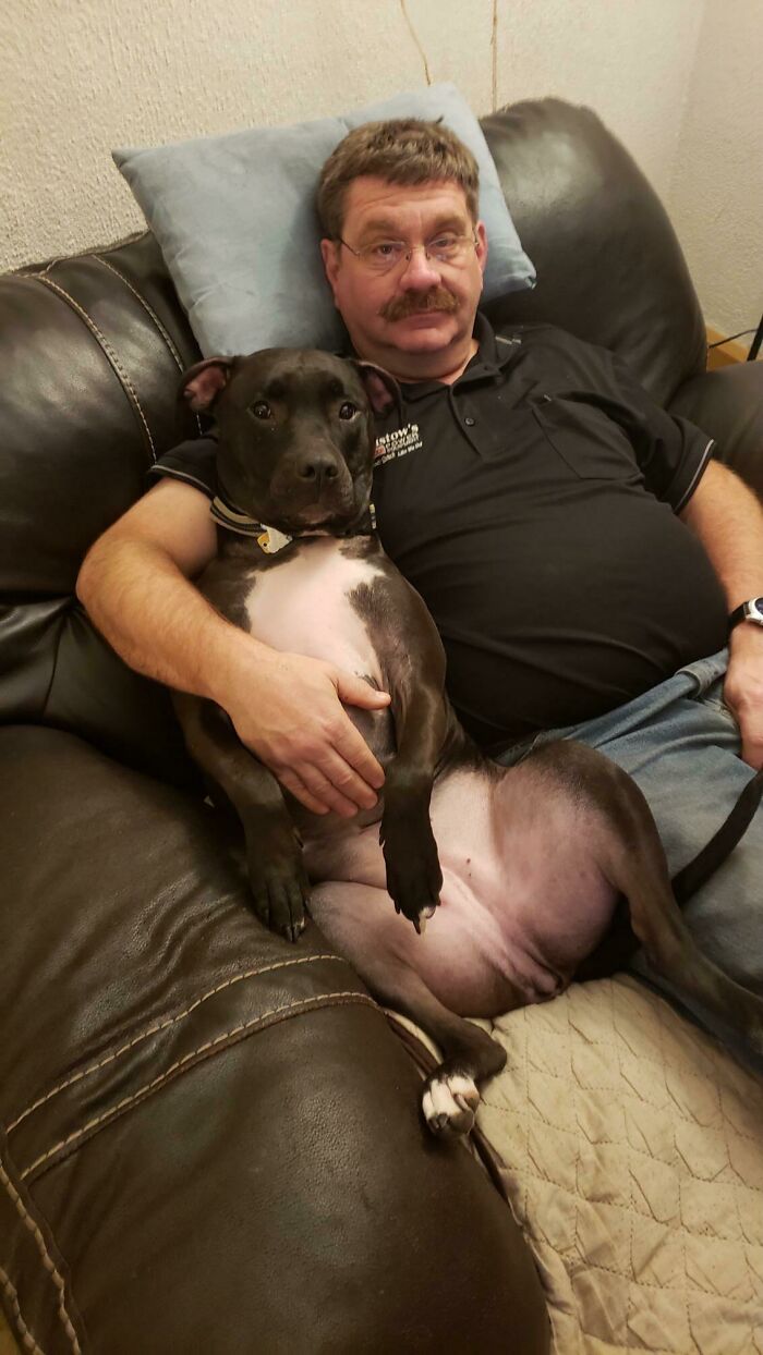 Man sitting on couch holding a black dog looking relaxed and affectionate, showcasing dads who became pet softies.