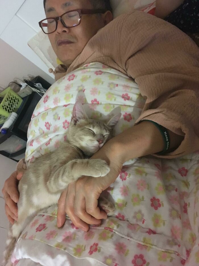 Man sleeping peacefully with a cat hugging his arm, showing dads who said no pets becoming total softies.