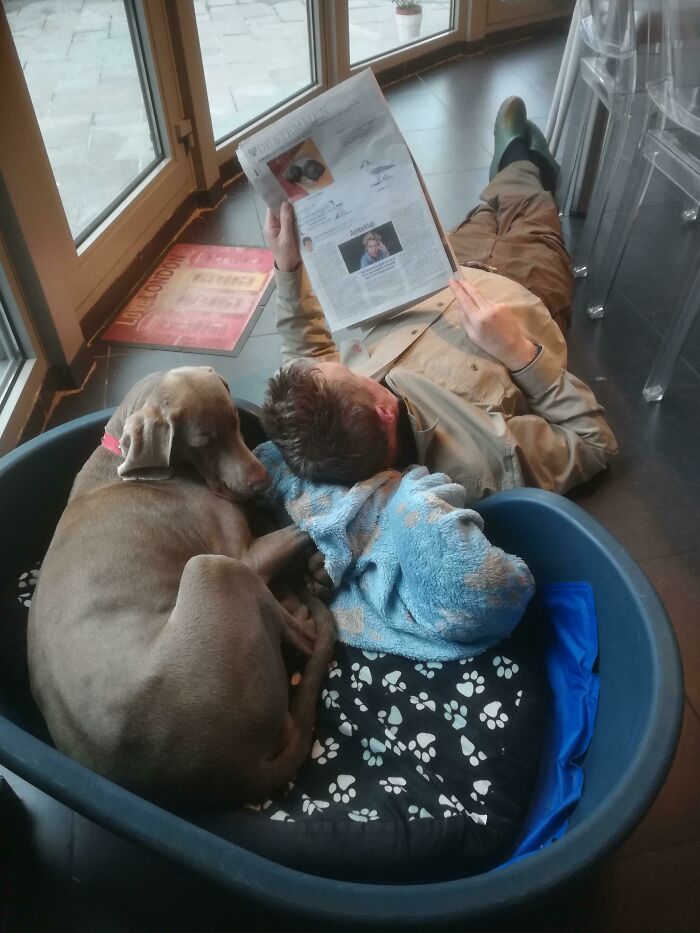 Man reading a newspaper lying on the floor next to a dog resting in a pet bed showing dads who said no pets becoming softies.