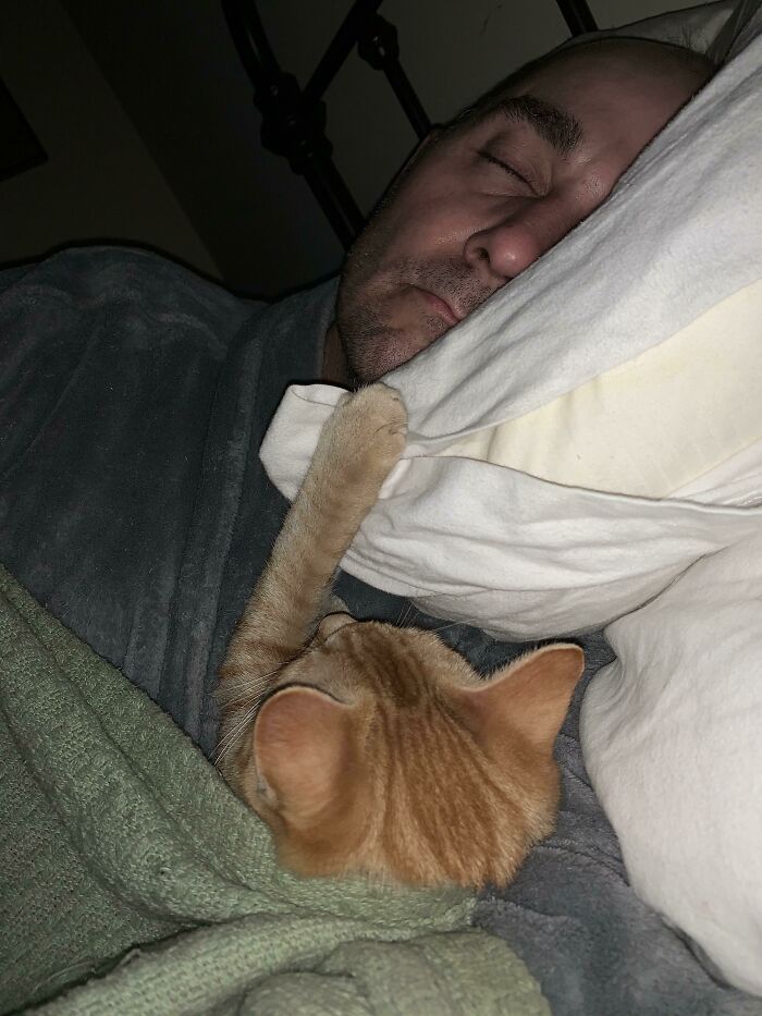Man sleeping in bed with an orange cat reaching out its paw, showing dads who said no pets becoming softies.