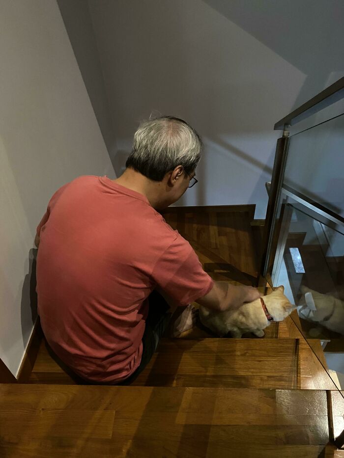 Man sitting on wooden stairs gently petting a small dog, showing dads who said no pets becoming total softies.