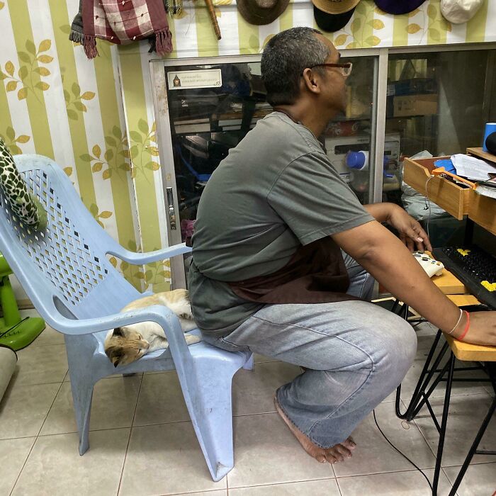 Man sitting at computer desk with cat sleeping on chair, showing dads who said no pets becoming softies.
