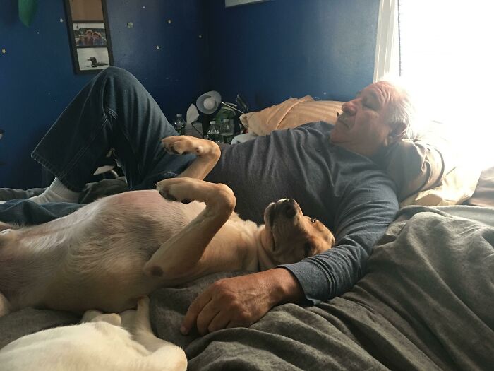 Older man lying on bed with dog on its back, showing the soft side of dads who said no pets.