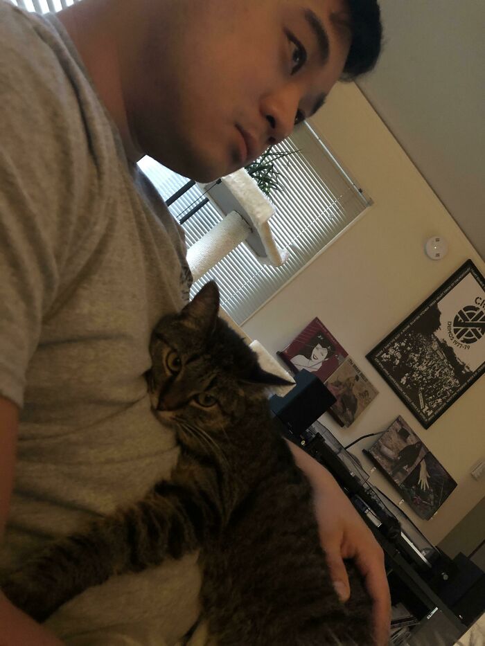 Man holding a tabby cat indoors, showing heartwarming moment with pet in a cozy home setting.