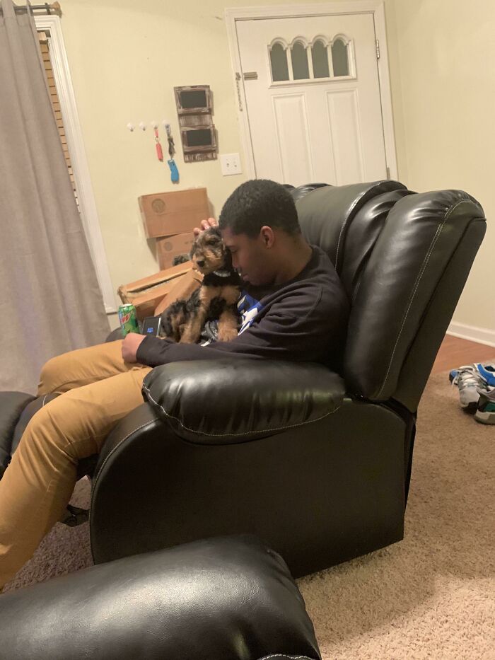 Man sitting in black leather chair gently holding a small dog, showing dads who said no pets becoming total softies.