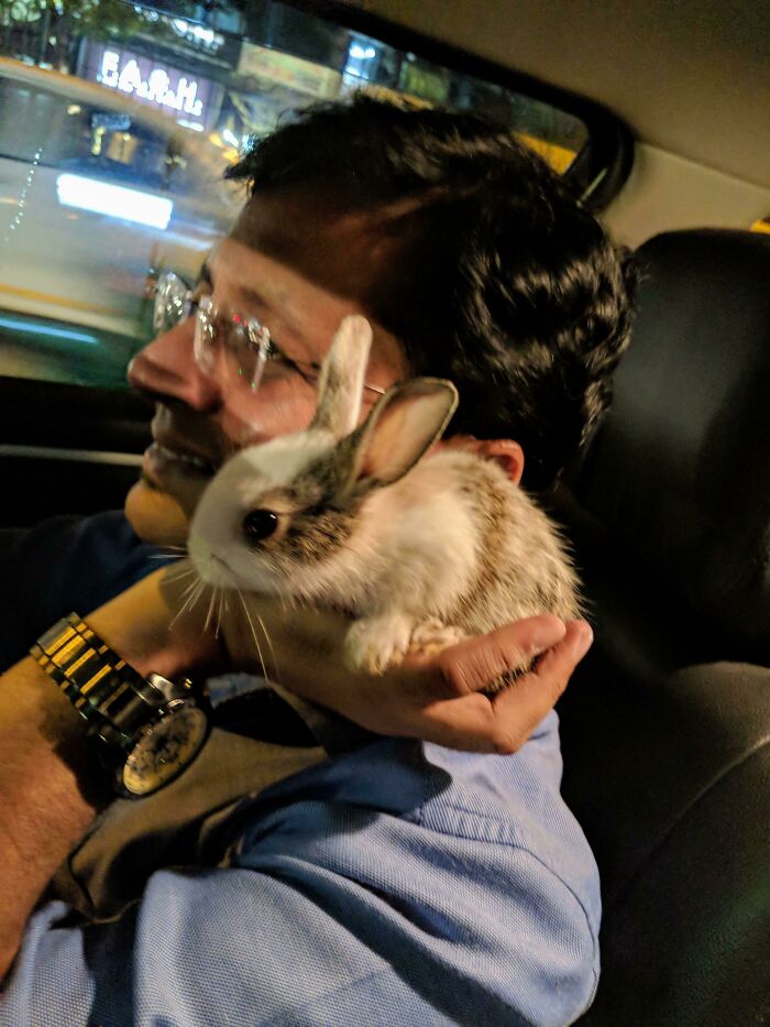 Man smiling gently while holding a small rabbit inside a car, showing dads who said no pets becoming total softies.
