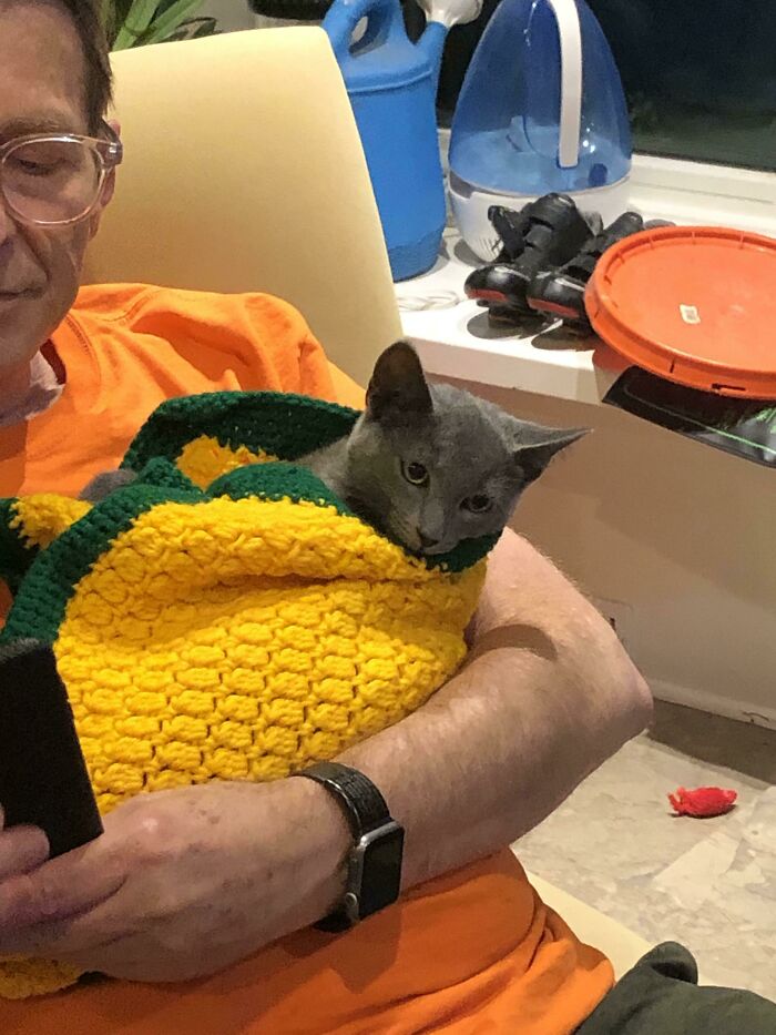Man in an orange shirt holding a gray cat wrapped in a yellow and green blanket showing dads becoming total softies with pets.