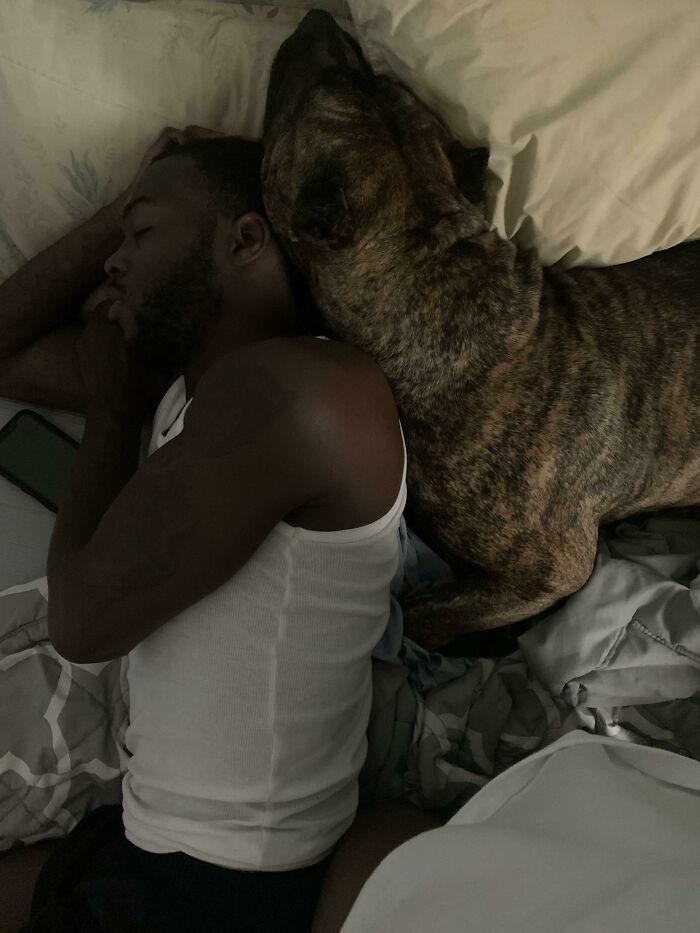 Man and dog sleeping closely together on bed showing dads who said no pets becoming softies.