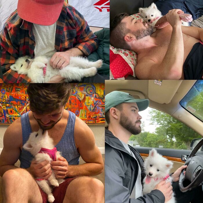 Collage of dads bonding and showing affection with small white puppies, capturing moments of pet softies and love.