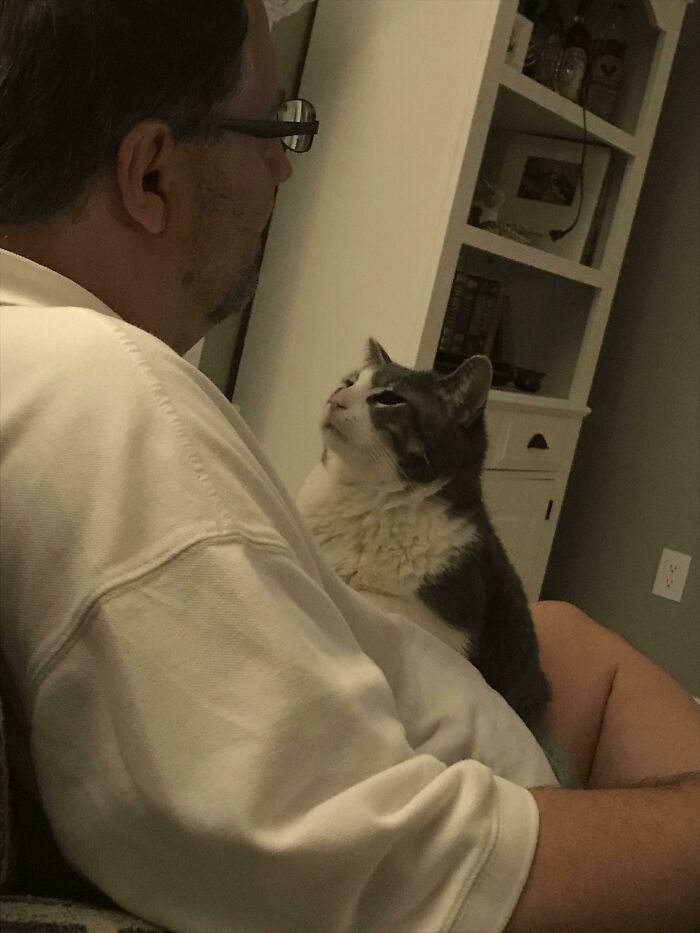 Man wearing glasses and a white shirt gazing affectionately at a cat, showing dads who said no pets becoming softies.
