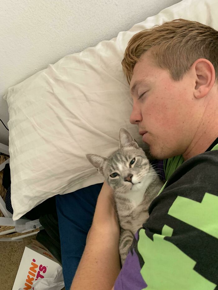 Dad cuddling a gray tabby cat while resting on a pillow, showing the soft side of dads against no pets rule.