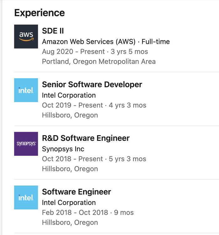 Work experience list showing software engineering roles at top tech companies, highlighting challenges of working in 2025.
