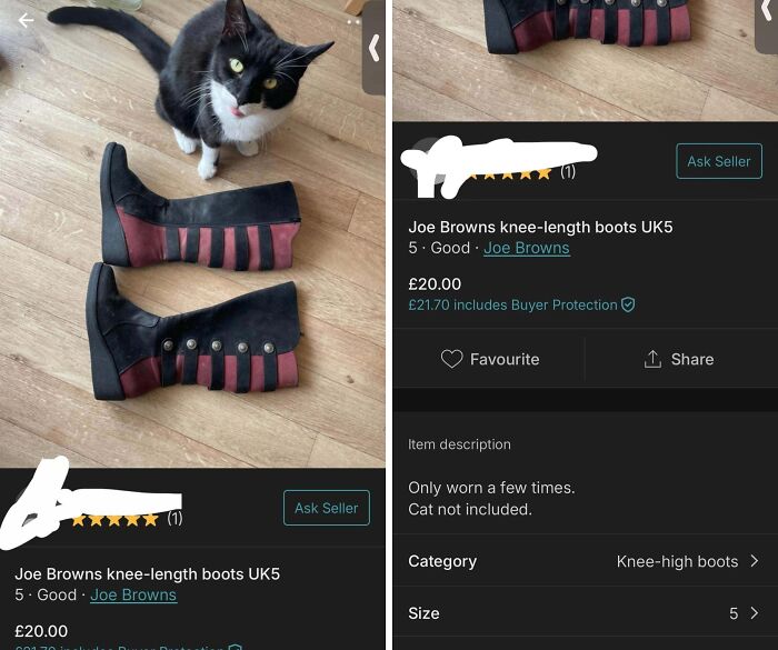 Black and red Joe Browns knee-length boots listed for sale with a cat in the background, showing wild Vinted post humor.