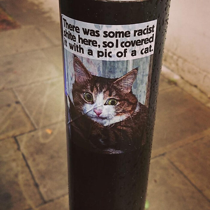 Sticker vandalizing public property, covering offensive graffiti with a picture of a cat on a black pole outdoors.