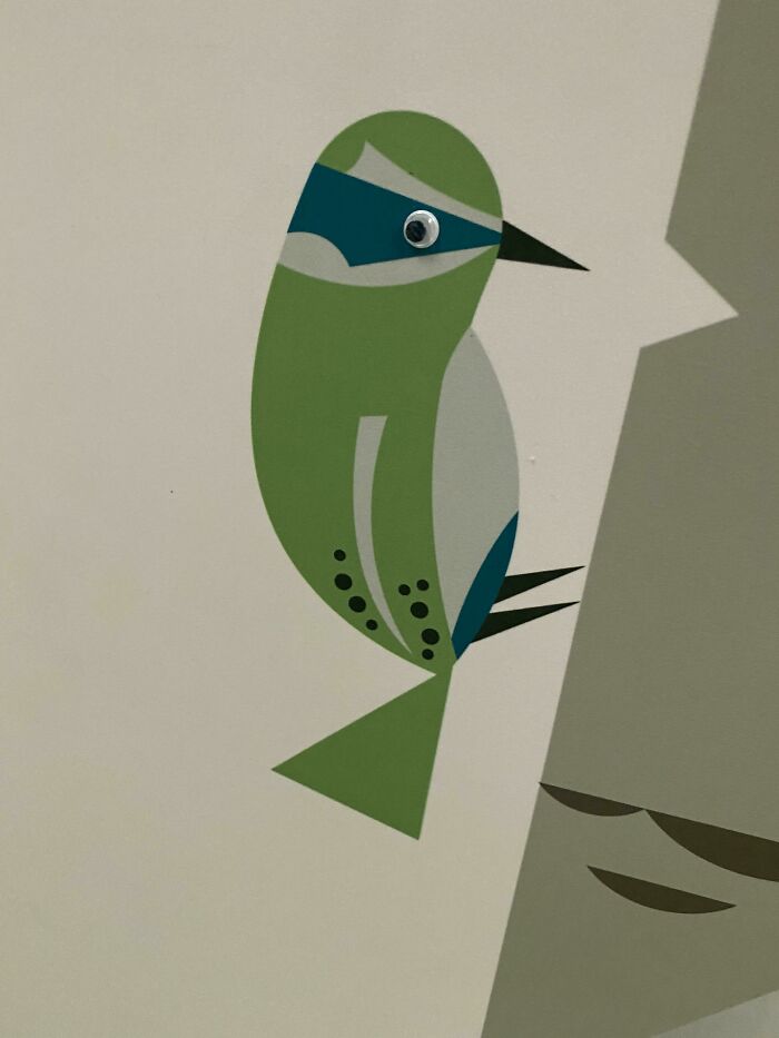 Googly eye added to a colorful bird wall decal, showing creative and amusing vandalism on public property.