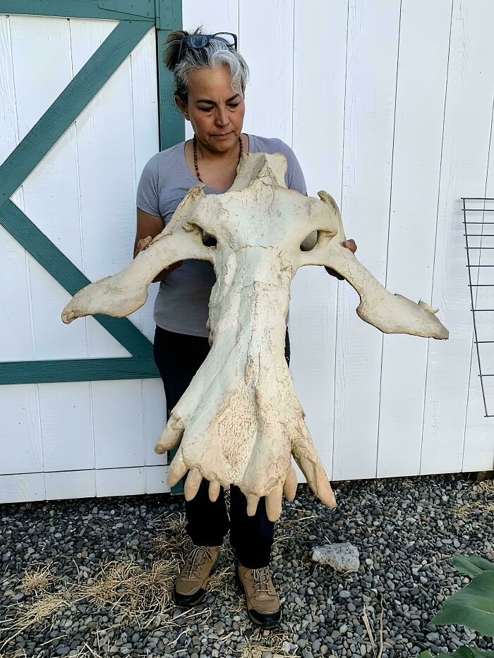 Woman holding a large ancient animal skull outside, illustrating nature was metal thousands and millions of years ago