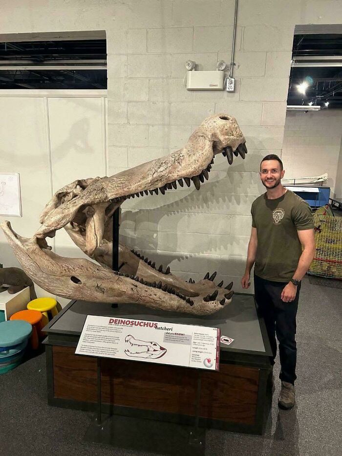 Man standing next to a large Deinosuchus skull fossil, showcasing nature was metal thousands of years ago.