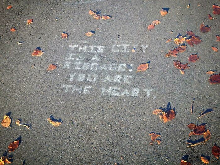 Chalk graffiti on pavement reading this city is a library you are the heart surrounded by autumn leaves, public property vandalized.