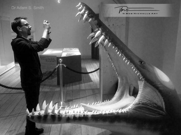 Man photographing large prehistoric shark jaw fossil in museum exhibit showcasing nature was metal millions of years ago