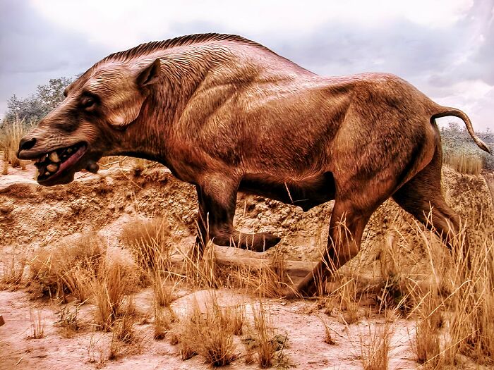 Reconstructed prehistoric mammal in a dry, rocky environment illustrating nature was metal millions of years ago.