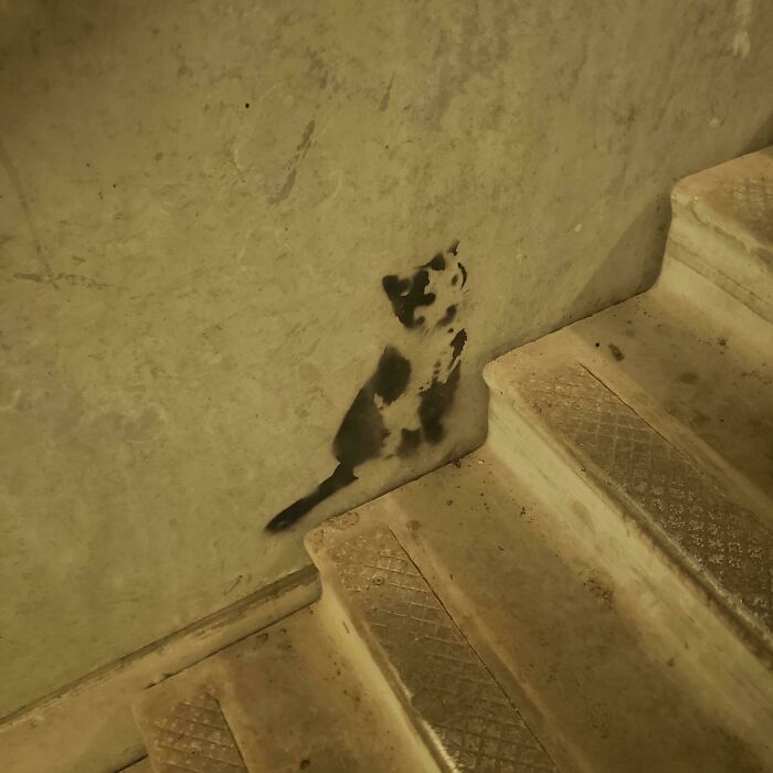 Stencil graffiti of a playful cat on a worn concrete wall next to dirty stairs, a clever example of vandalized public property.