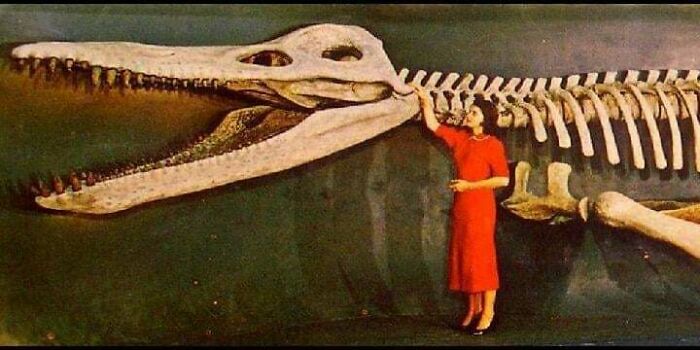 Woman in red dress standing next to a large prehistoric fossil skeleton showing nature was metal millions of years ago.