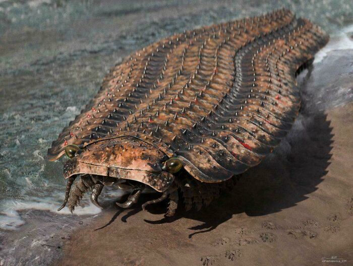 Fossilized prehistoric armored creature with spiked exoskeleton, showcasing nature was metal millions of years ago.