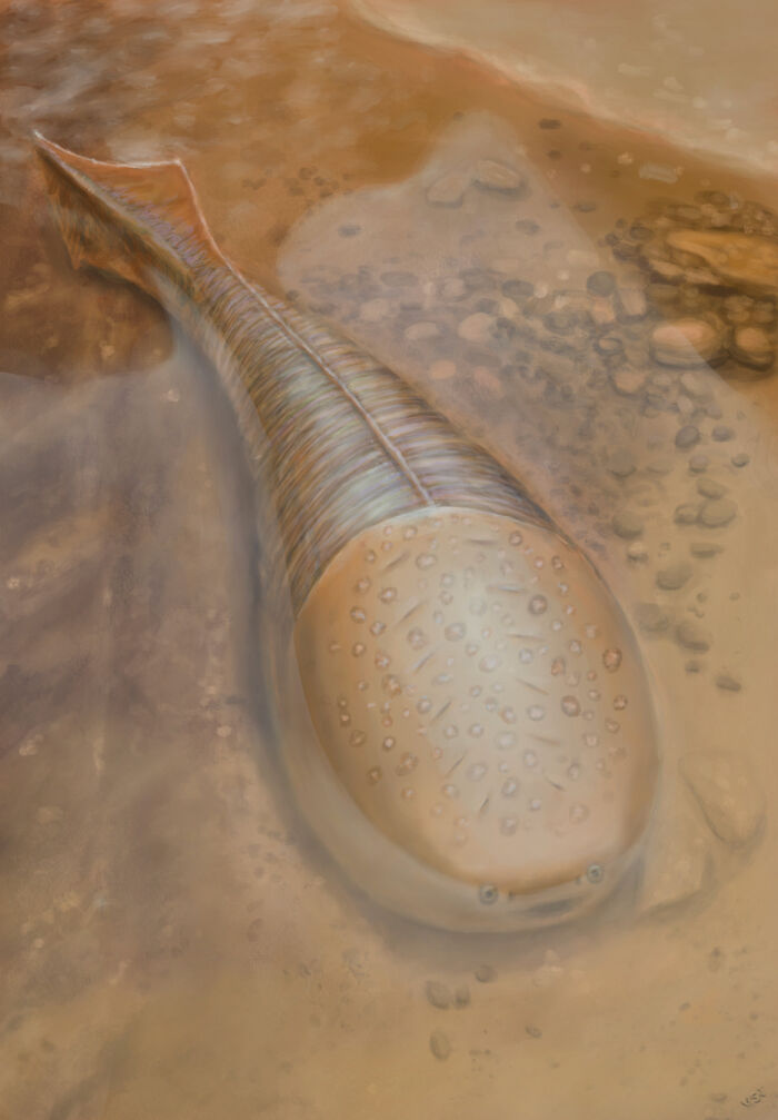 Extinct prehistoric aquatic creature resting on the ocean floor, showcasing nature's metal design in ancient times.