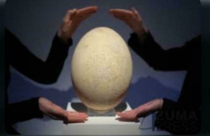 Large prehistoric egg displayed on a pedestal with hands surrounding it, showcasing extinct creatures from nature's metal era.