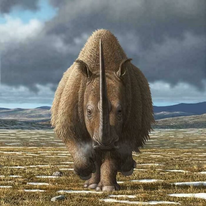 Extinct creature with large horn and thick fur walking across a prehistoric plain under a cloudy sky.