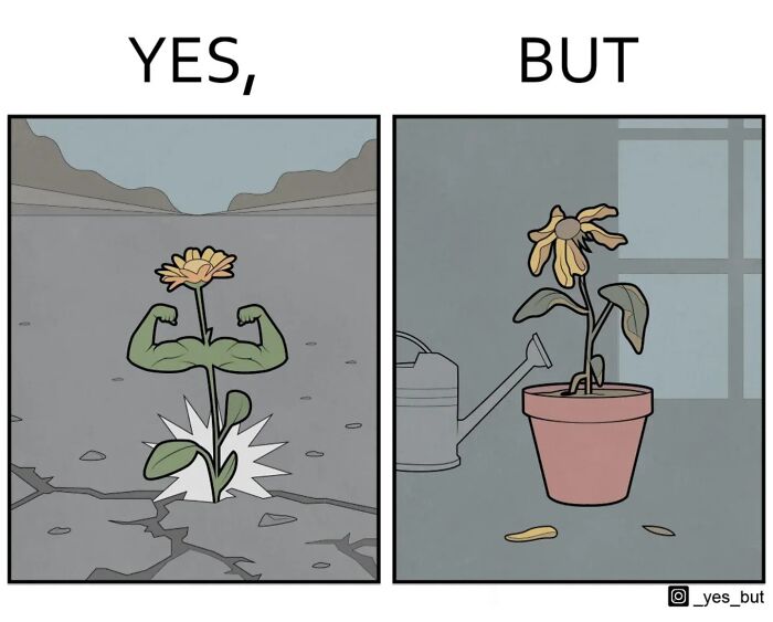 Illustration highlighting society’s double standards with a strong flower in harsh conditions and a wilting flower in a pot.