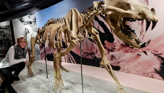 Woman posing next to a large prehistoric animal skeleton, showcasing nature was metal millions of years ago in a museum exhibit.