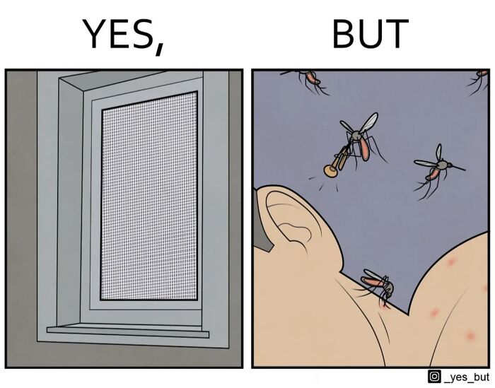 Illustration highlighting society’s double standards showing a closed window screen versus mosquitoes biting a person’s skin.