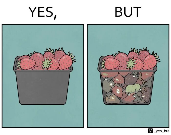 Yes but comics illustration showing two containers of strawberries, one full and fresh and one partially spoiled and less fresh.