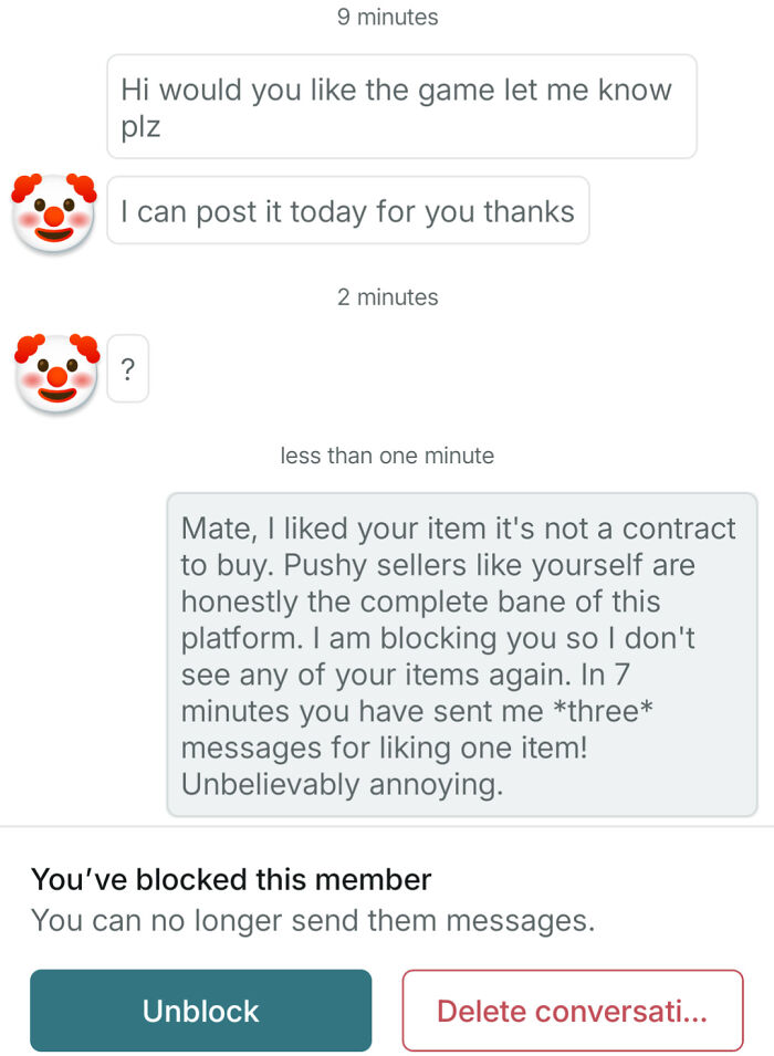 Chat conversation showing a buyer annoyed by pushy seller on Vinted, illustrating wild behavior in online selling.