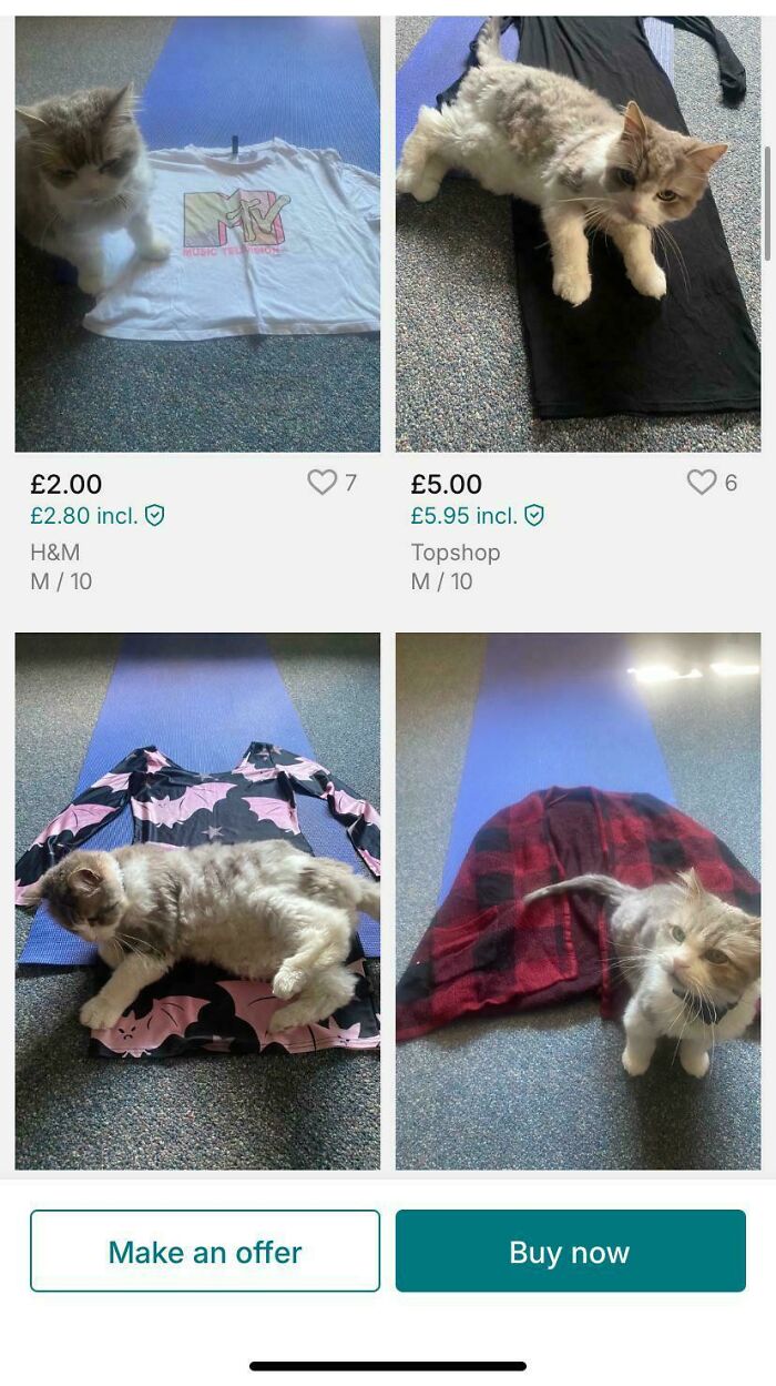 Four Vinted posts showing cats lying on clothes in a humorous example of unhinged online selling.