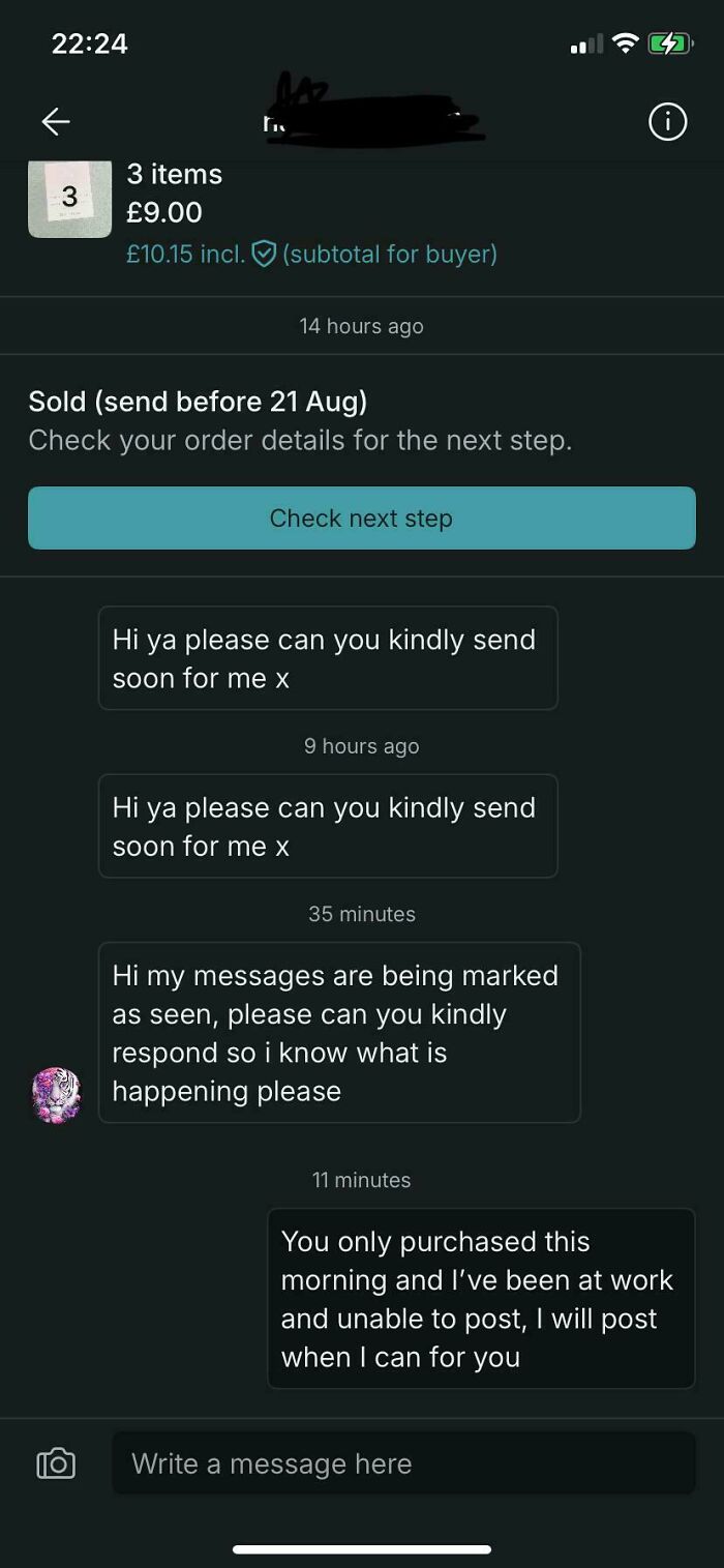Chat conversation on Vinted showing buyer impatiently requesting shipping, illustrating wild Vinted posts in online selling chaos.