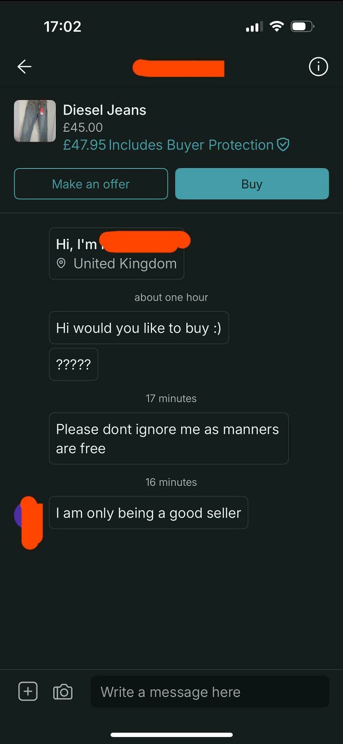 Chat messages on Vinted showing a seller insisting politely with unusual persistence, illustrating wild online selling behavior.