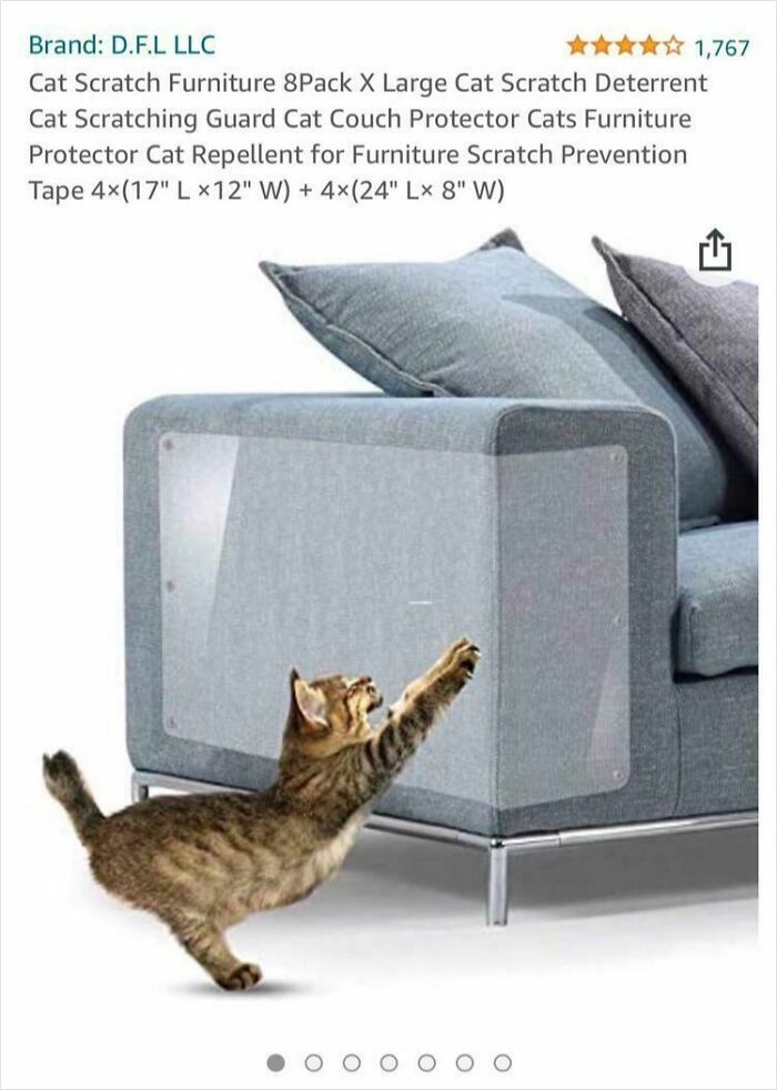Cat stretching to scratch a couch with a transparent plastic protector, illustrating a Photoshop fail with misplaced shadows.