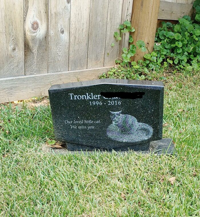 Black granite cat memorial stone in a garden with an engraved image of a cat and a loving tribute to a pet.